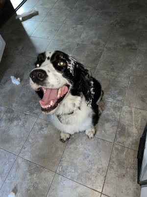 IMG_0324.jpeg