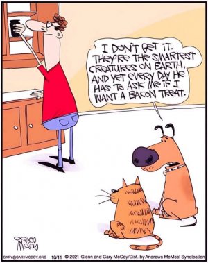 bacontreatjoke.jpg
