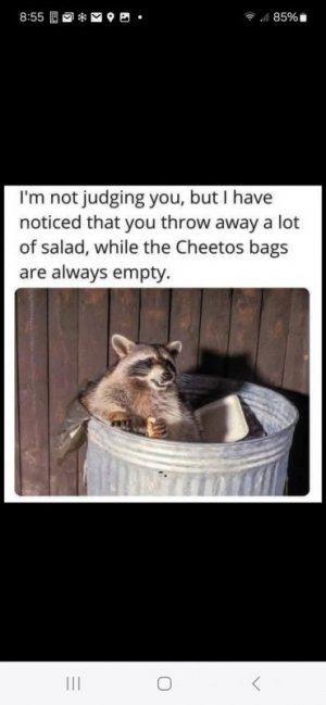 FB_IMG_1736127704539.jpg