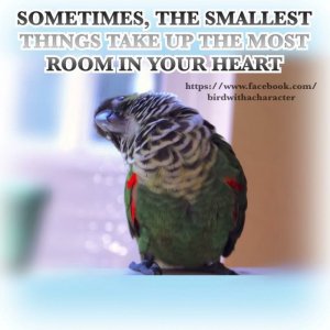 love small.jpg
