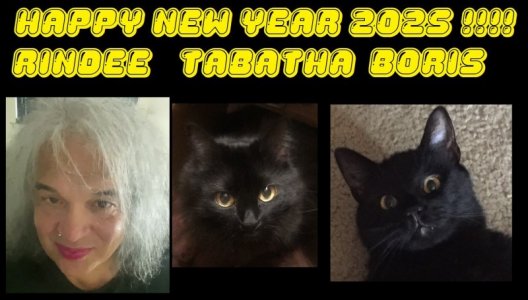 OurChristmas (3).JPG