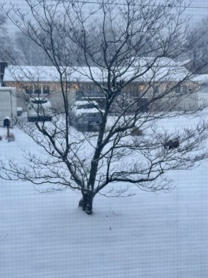 IMG_0924.jpeg
