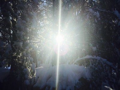 snow sun.jpg