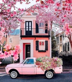 f7cf8b0f87d14aab1ca9a02ae96d9527[1].jpg