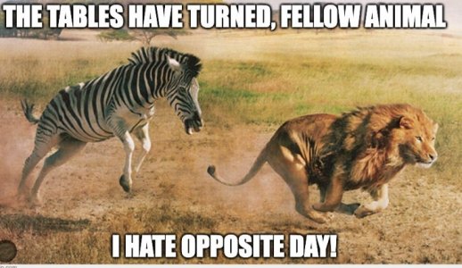 opposite.jpg