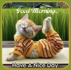 b30fb7da839a0ce30b632d9ca1fda071.jpg