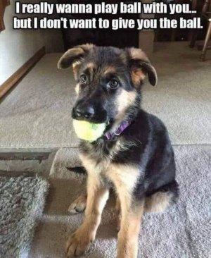 FB_IMG_1736293147595.jpg