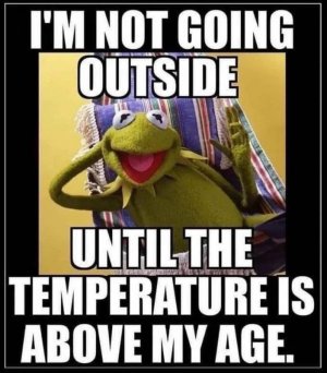IMG_0114.jpeg