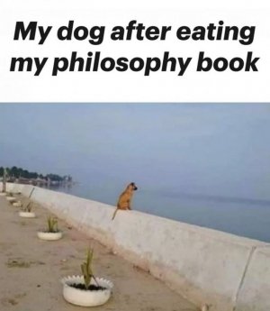 animal4.jpg