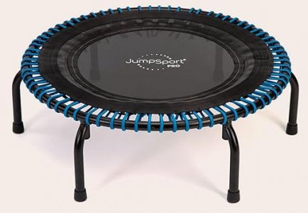 tramp.jpg