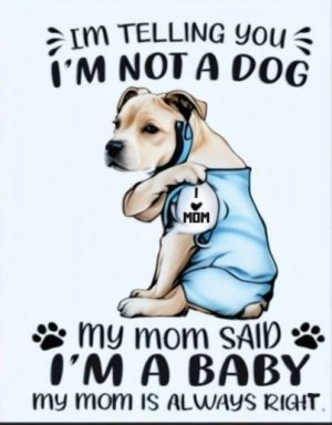 baby.jpg