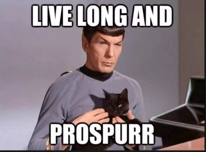 catspaw.jpg