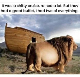 Lion1.jpg