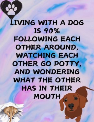 FB_IMG_1735071428512.jpg