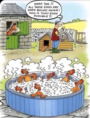 FB_IMG_1735886858873.jpg