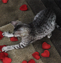 1736426371318.gif