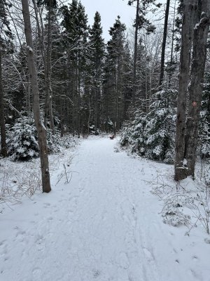 IMG_7322.jpeg