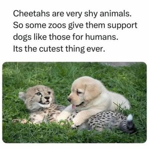 FB_IMG_1736457177589.jpg