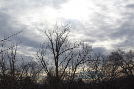 IMG_5181.jpg