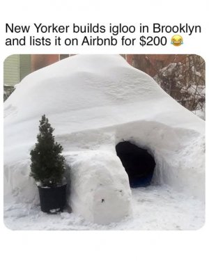 igloobnb.jpg