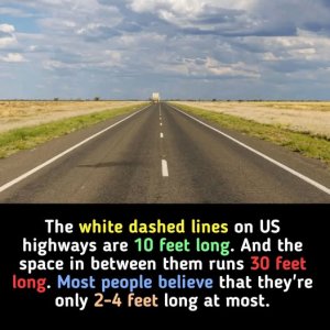 472492363_1778475939567485_7384662482256142521_n.jpg