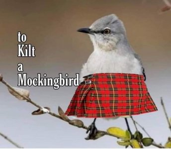 puns1.jpg