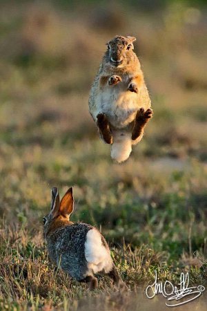 gravity.jpg