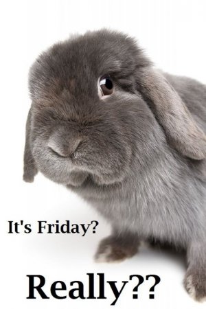 fri.jpg