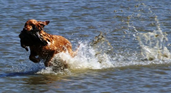 Oct. Dee Walking on Water.JPG Oct. Dee Walking on Water.JPG