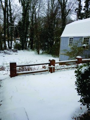 Snow in back yard.jpg
