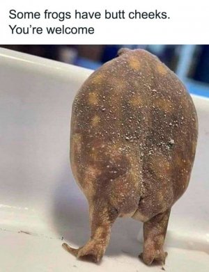 0.jpg