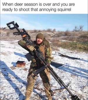 squirrel.jpg