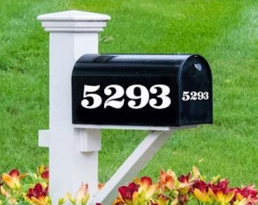Number 5293 @.jpg