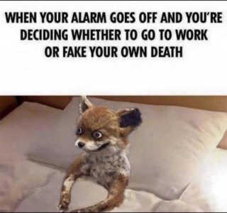FB_IMG_1736441417308.jpg