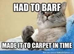 IMG_0191.jpeg