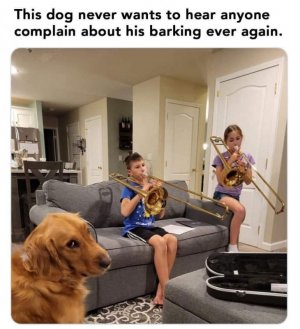 FB_IMG_1732774964297.jpg
