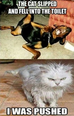 0.jpg