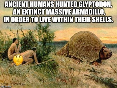 facts1.jpg