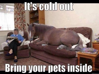 FB_IMG_1736820033314.jpg