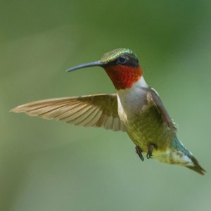 IMG_7343.jpeg