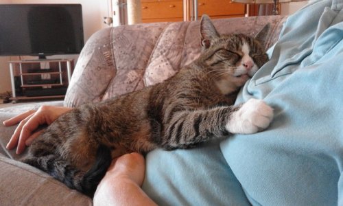 liluo_sleeping.jpg