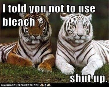 4dfe01281317bce37e607da9f194c5cb.jpg