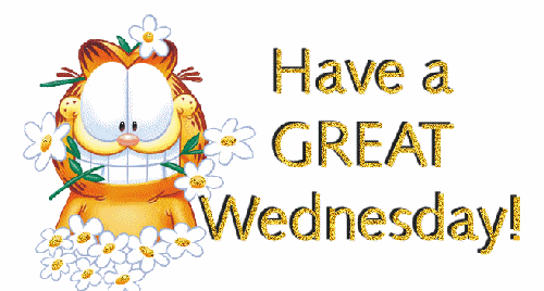 happy-wednesday-gif-7.gif