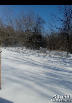 Snipping_2025-01-08-11-59-17.jpg