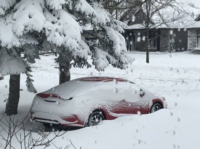 Honda Civic '15.jpg