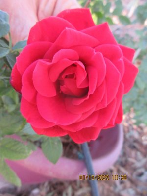 IMG_7297.JPG