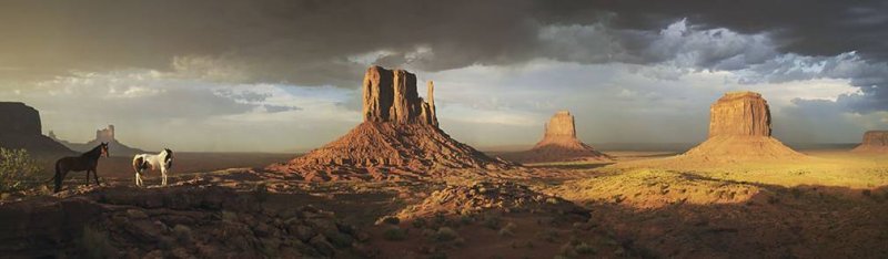 horses & buttes.jpg