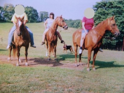 IMG_4130.jpeg
