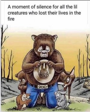 lil creatures.jpg