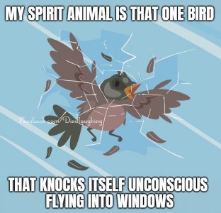 1737088641074.jpeg